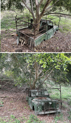 Land rover PlantPot 800.gif